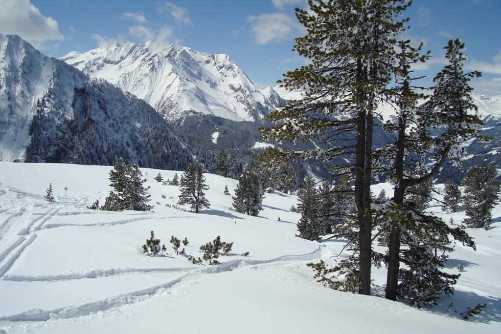 Ferienwohnungen Kroll - Appartements Viktoria Und Landhaus Maria Mayrhofen Bagian luar foto