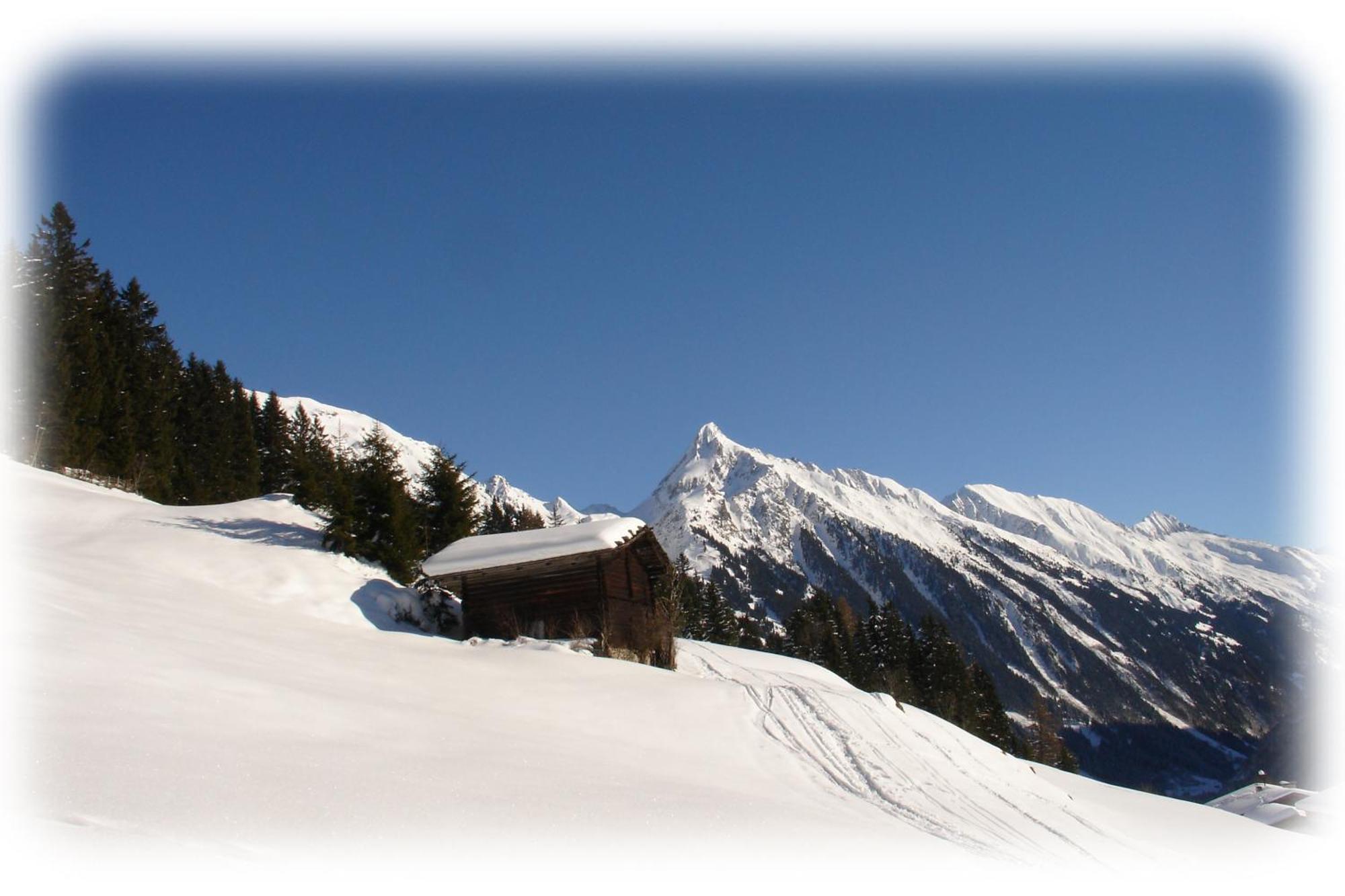 Ferienwohnungen Kroll - Appartements Viktoria Und Landhaus Maria Mayrhofen Bagian luar foto